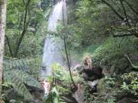 Yang Ming Shan