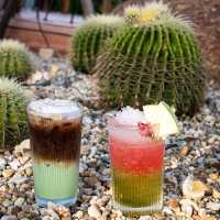 🐫🌵คาเฟ่ทะเลทรายสไตล์แอฟริกา สายคาเฟ่ไม่ควรพลาด