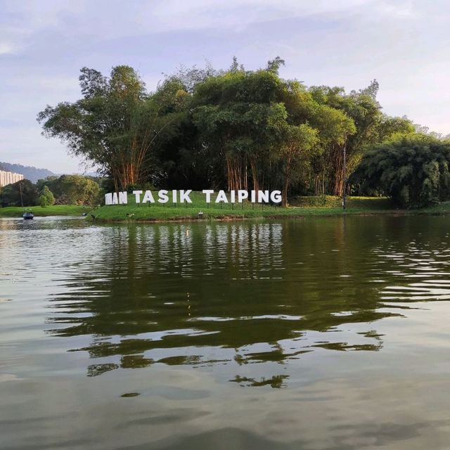 Riding Paddle Boat in Taiping Lake Gardens