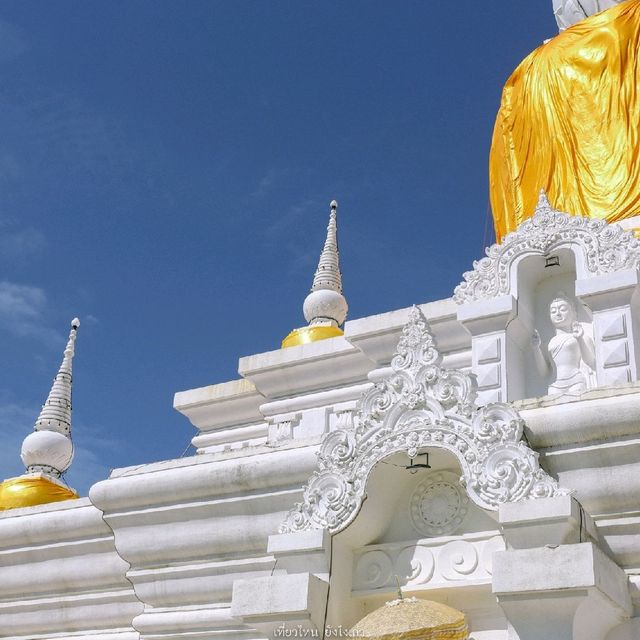 งานนมัสการพระธาตุนาดูน 
วันที่ 5-7 มีนาคม 2566