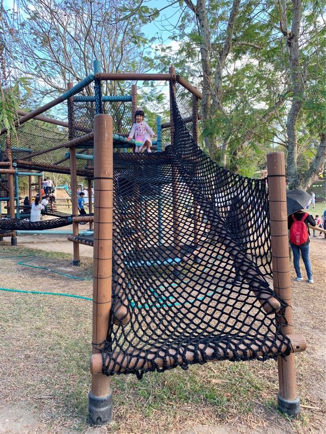 長洲遊 — 親子放電之選 大玩 zipline 繩網陣！