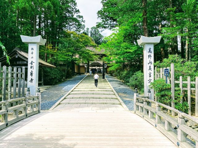 蛇腹路