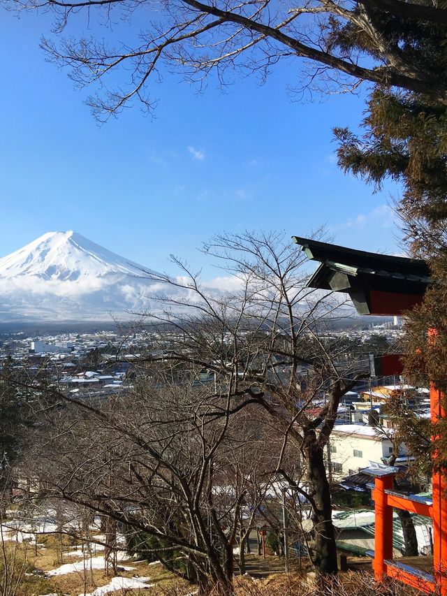 ❄️雪景下的富士山🗻