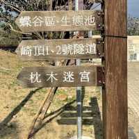 崎頂鐵道文化公園 🖌 在有二戰遺跡的子母隧道中拍剪影照