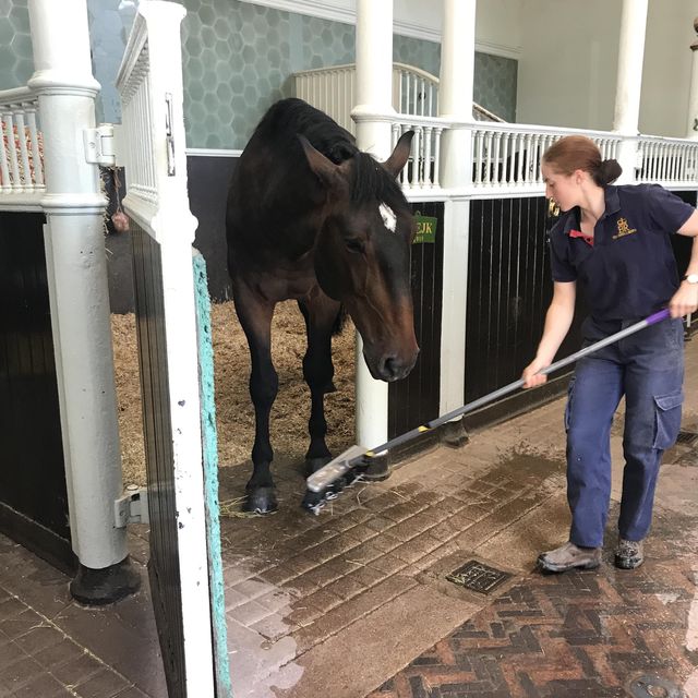 Royal Mews Museum🤩皇室馬房