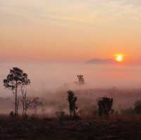ธรรมชาติรังสรรค์ ภาพสวยงาม