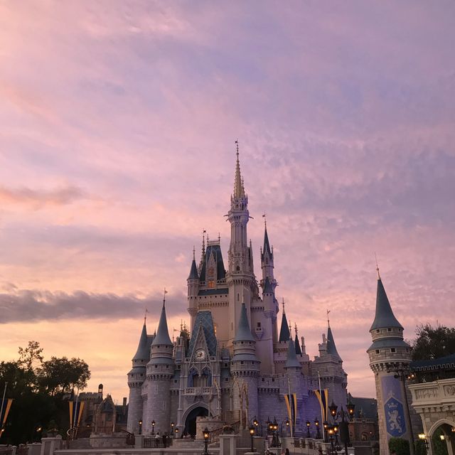 Walt Disney, 행복을 전하다 💙