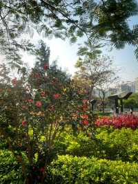 🌸有係時候一齊去公園賞花啦🥳