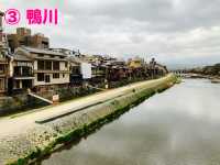 京都　KYOTO SAKURAめぐり！四条通りから南座まで散策してみた！