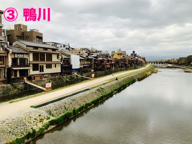 京都　KYOTO SAKURAめぐり！四条通りから南座まで散策してみた！