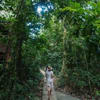 Our Jungle House 