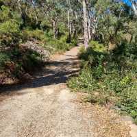 Morialta Falls Hike