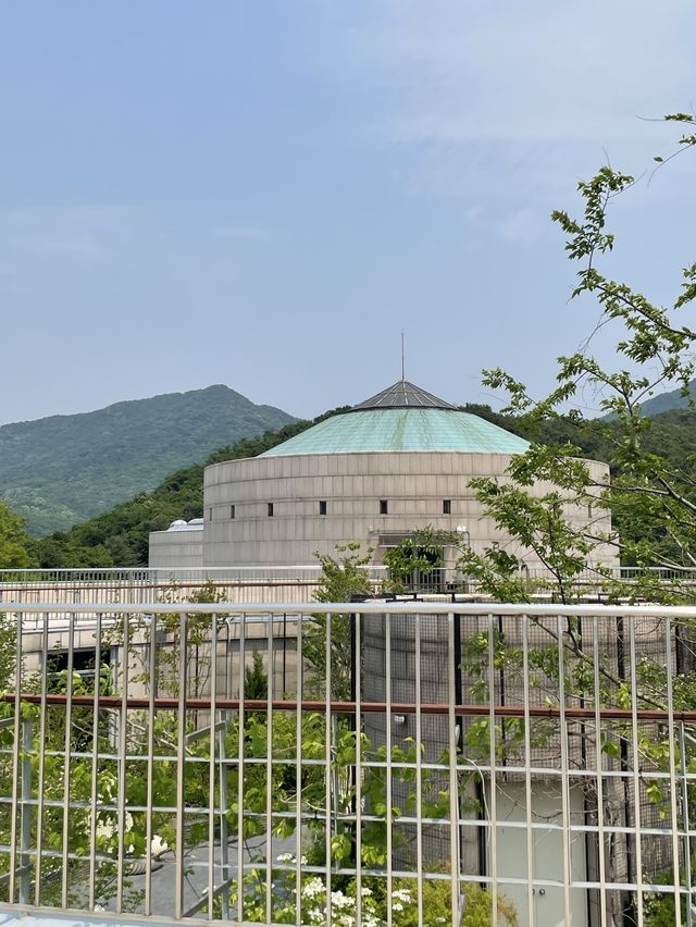 서울 근교 뷰맛집 과천 현대미술관으로 떠나는 봄여행
