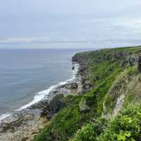 【沖縄・伊江島】伊江島の絶景スポット！