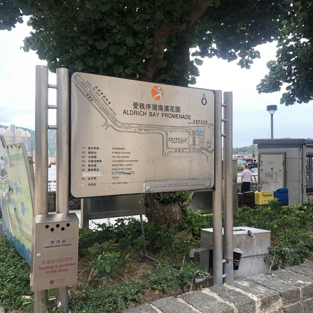 避風塘嘅無敵海景 避風塘嘅無敵海景