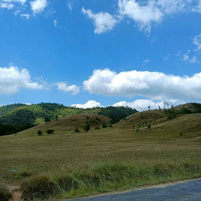 🌱🍀☘️ภูเขาหญ้า ความน่ารักของระนอง ที่ต้องห้ามพลาด