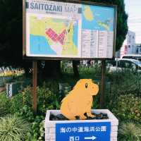日本福岡必玩 - 海之中道公園