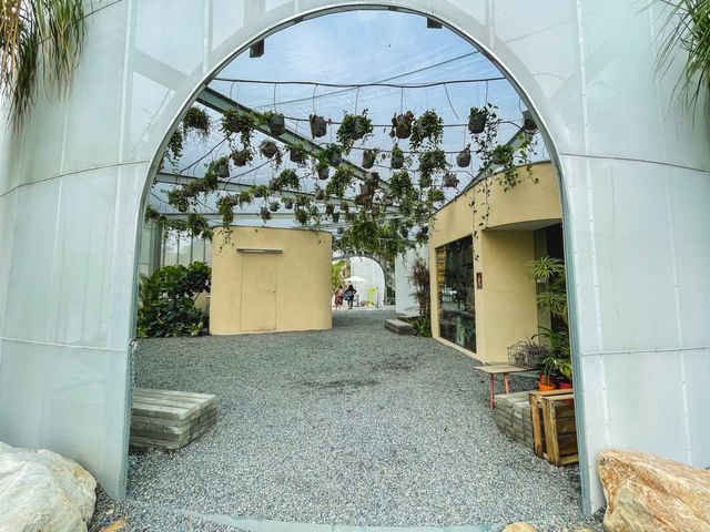 PARK2草悟廣場～這是沙漠中的綠洲｜滿滿植物樂園升級網美景點｜拍好拍滿親子好去處