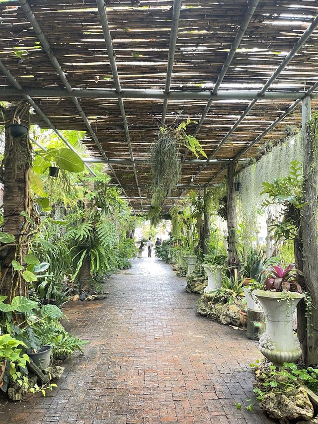 ร้านอาหารเปลญวน🍽