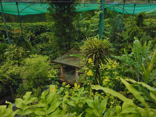 A Wonderland at Kuala Lumpur Butterfly Park 