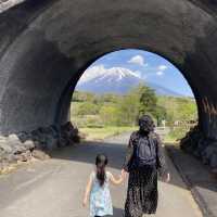 【静岡】富士山こどもの国