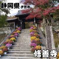 修善寺竹林の小怪【静岡県/修善寺 】