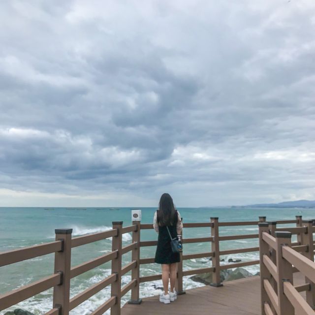 속초 롯데리조트 산책로 '외옹치항 둘레길'