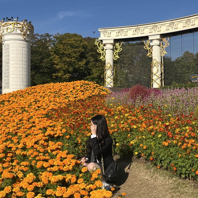 (용인/놀이공원) 환상의 나라 에버랜드🎡🎠