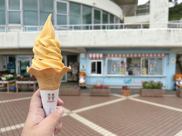 【宮崎】道の駅フェニックス