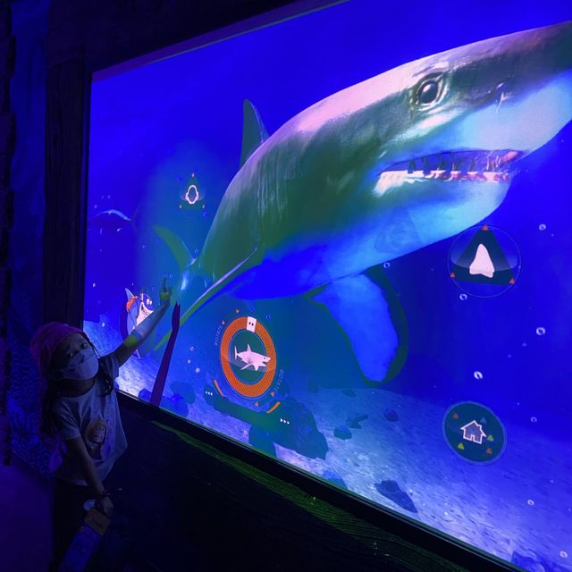 Fun Sealife at Legoland Malaysia