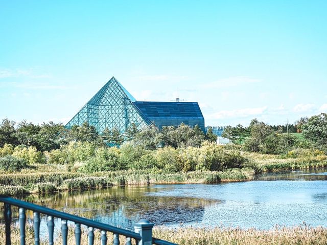 モエレ沼公園