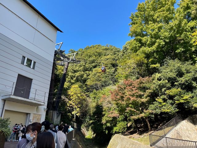 古城のクリスマス開催中🎅ロープウェイで絶景を🫶