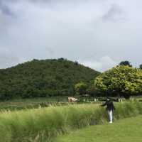 The Village Farm To Cafe'