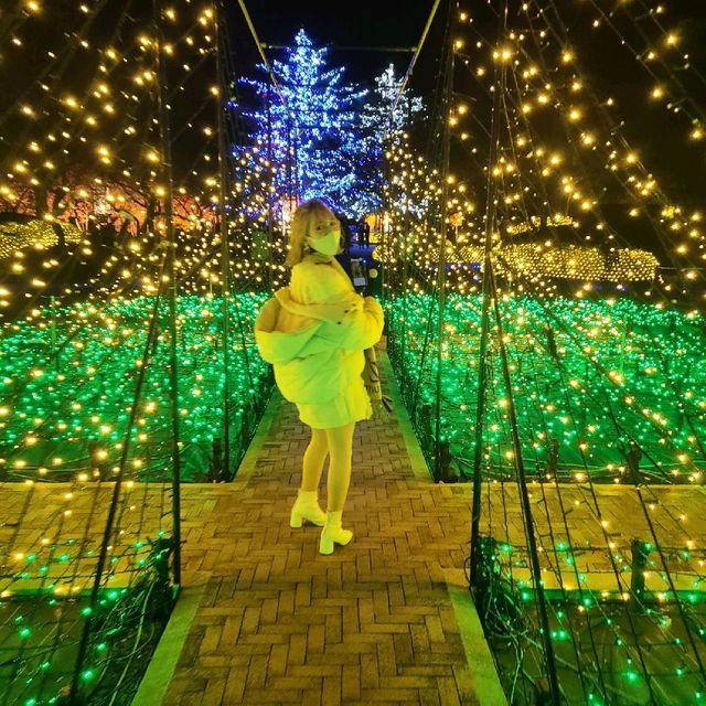 この冬、日本最大級のイルミネーションへ【なばなの里】⭐