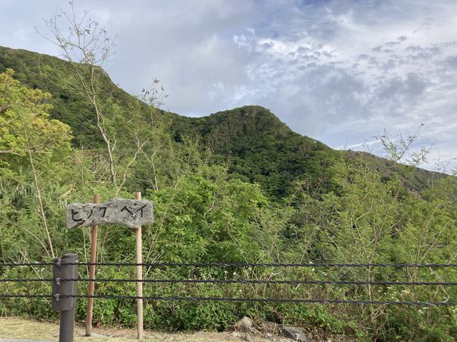 【東京】日本で1番遠い島？「母島」