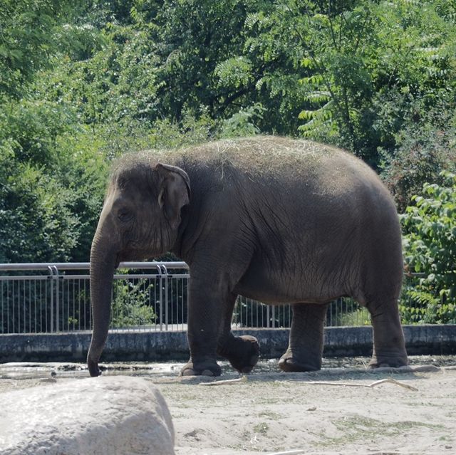 德國最大的動物園之一