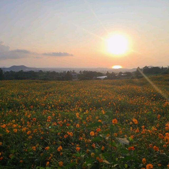 멋진 금오름 가봤습니다.