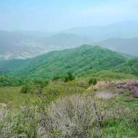 지리산 바래봉 등산 