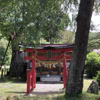 【義仲旗挙神社】巨大な欅が歴史を語る。