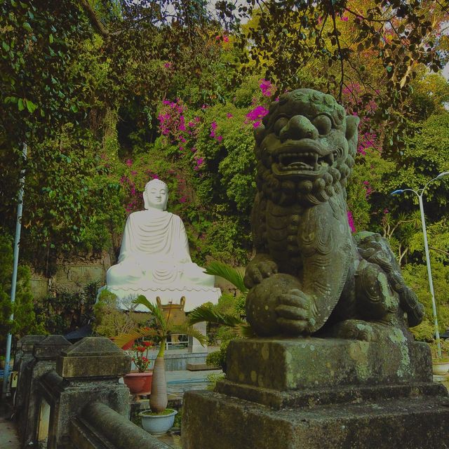 Finding Peacefulness at Linh Ung Pagoda