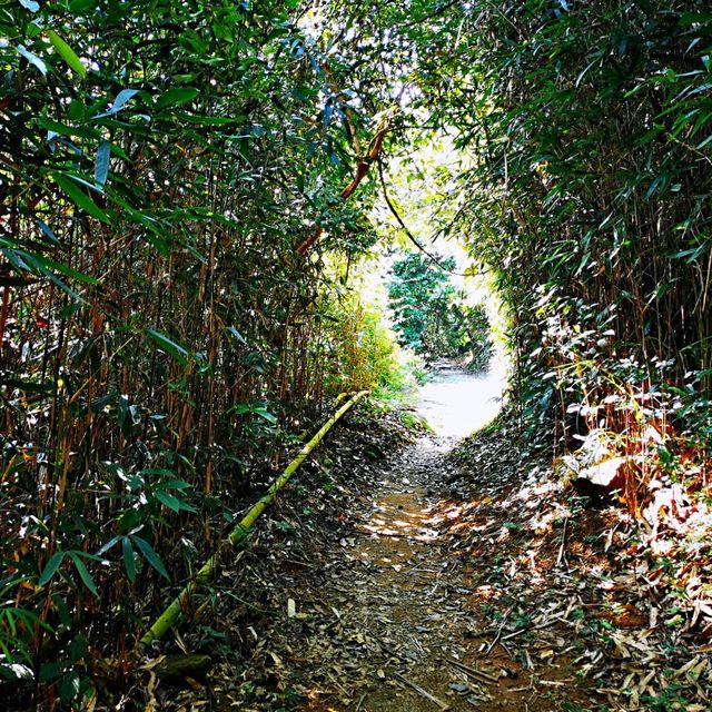 北港古道•茅坪坳•大水井古道