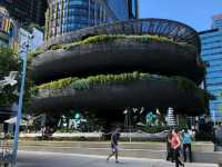Brand new barangaroo