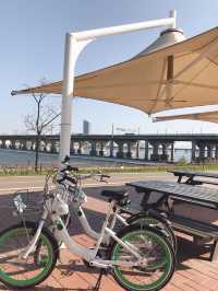 따릉이 타고 한강 라이딩 어때요🚲