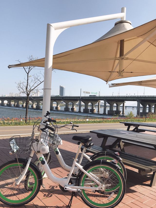 따릉이 타고 한강 라이딩 어때요🚲
