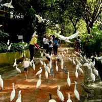 Great time at Kl Bird park 