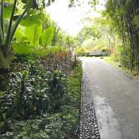 anantara pool villa phuket