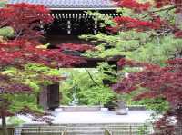 【京都】新撰組発祥のお寺！金戒光明寺をご紹介