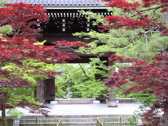 【京都】新撰組発祥のお寺！金戒光明寺をご紹介