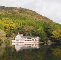 湯布院❤️此生必去九州景點‼️古色古香小店