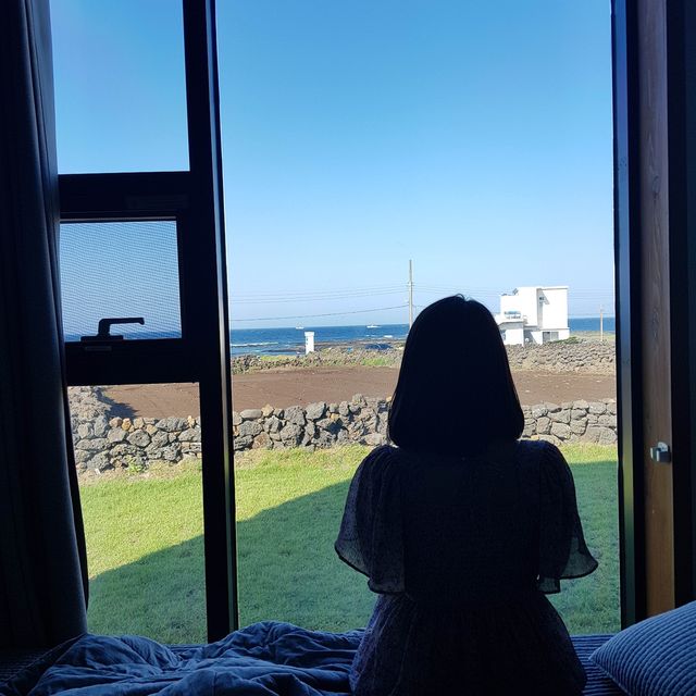 제주도 동쪽 1인 게스트하우스 추천💚